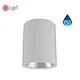 surface mounted downlight